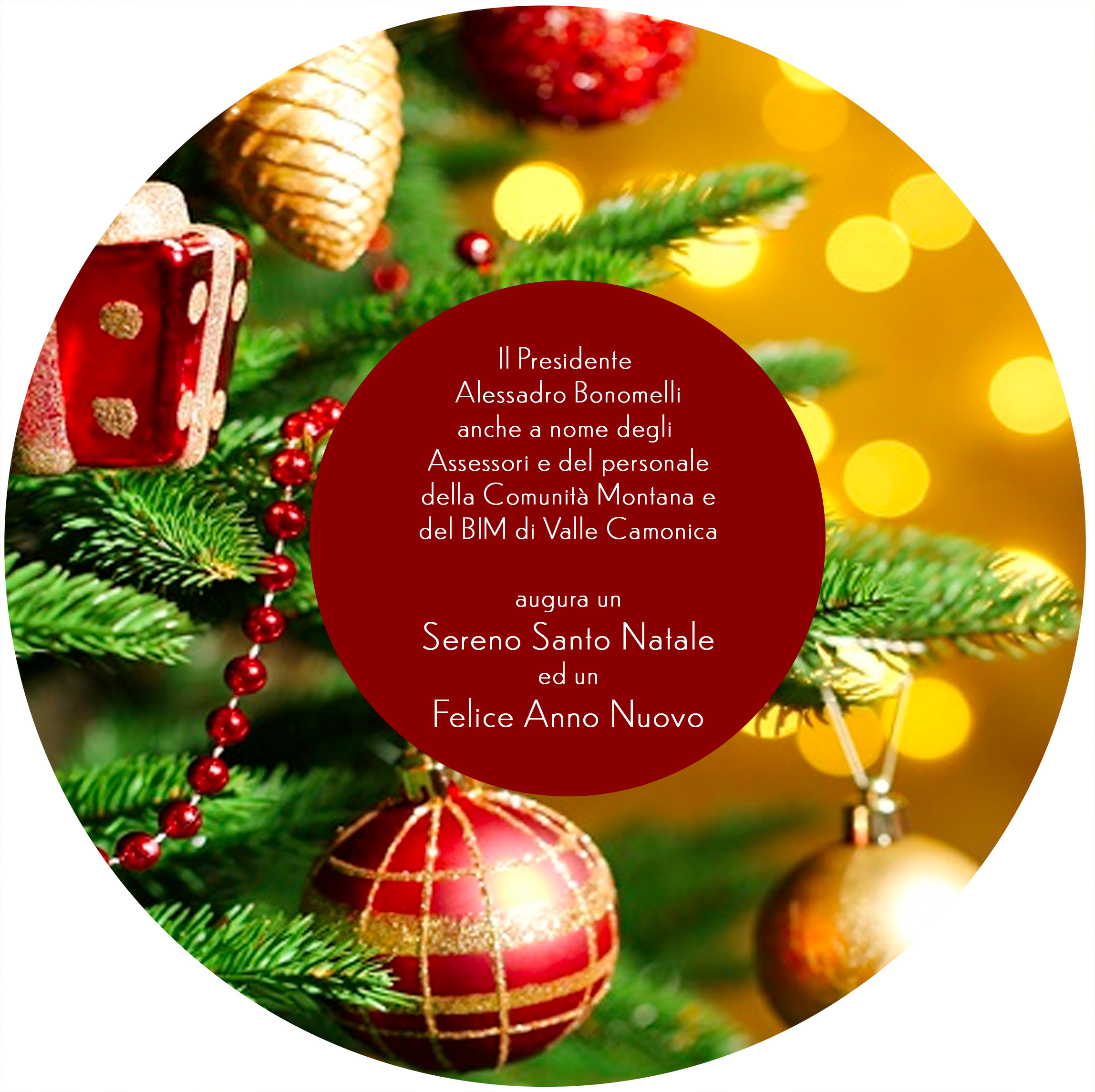 Foto di Franzoni Davide